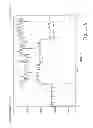 Fig. 10 - Slow congestion control