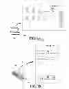 Fig. 04 - Device and method for providing application for external accessory in wireless terminal