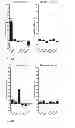 Fig. 08 - Indirect antigen-specific T cell recognition assay