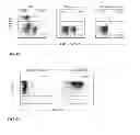 Fig. 09 - Indirect antigen-specific T cell recognition assay
