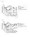 Fig. 02 - PHARMACEUTICAL COMPOSITION, METHODS FOR TREATING AND USES THEREOF
