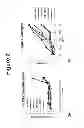 Fig. 03 - Peptides and compositions for treatment of joint damage