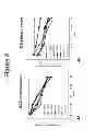 Fig. 05 - Peptides and compositions for treatment of joint damage
