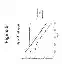Fig. 06 - Peptides and compositions for treatment of joint damage