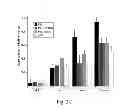 Fig. 07 - METHOD FOR ASSESSING A LIVER OF A PATIENT HAVING A CHRONIC HEPATITIS B VIRUS INFECTION