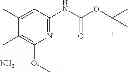 Fig. 489 - Method of treatment