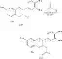 Fig. 30 - Flavonoid compounds