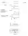 Fig. 02 - TRANSMUCOSAL DRUG DELIVERY SYSTEM