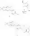Fig. 158 - COMPOUNDS THAT MODULATE INTRACELLULAR CALCIUM