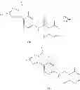 Fig. 201 - COMPOUNDS THAT MODULATE INTRACELLULAR CALCIUM