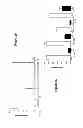 Fig. 09 - Composition and methods for modulating cell proliferation and cell death