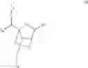 Fig. 07 - Modulation of transthyretin expression