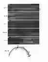 Fig. 09 - Dual-AAV vector-based systems and methods for delivering oversized genes to mammalian cells