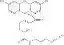 Fig. 197 - Preparation of oligo conjugates