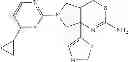 Fig. 201 - Tetrahydropyrrolothiazine compounds