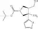 Fig. 97 - Tetrahydropyrrolothiazine compounds