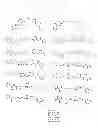 Fig. 06 - Thiophene-2-carboximidamide based selective neuronal nitric oxide inhibitors
