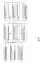 Fig. 02 - Creatinol O-phosphate and synthesis method thereof
