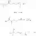 Fig. 07 - Creatinol O-phosphate and synthesis method thereof