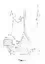 Fig. 02 - Medical devices for modulating nerves