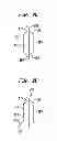 Fig. 05 - PMVR clip configurations for mitral leaflet