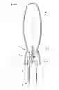 Fig. 03 - Surgical suture apparatus