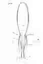 Fig. 08 - Surgical suture apparatus