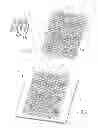 Fig. 02 - Surgical implant