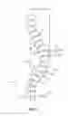Fig. 02 - Methods for correcting spinal deformities