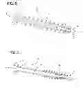Fig. 09 - Bone screw