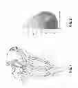 Fig. 02 - Breast Reconstruction Device and Methods