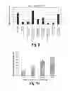 Fig. 09 - TISSUE SCAFFOLDS DERIVED FROM FORESTOMACH EXTRACELLULAR MATRIX