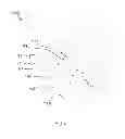 Fig. 09 - Porous ureteral stent