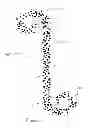 Fig. 13 - Porous ureteral stent
