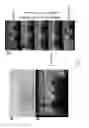 Fig. 43 - 3-dimensional large capacity cell encapsulation device assembly