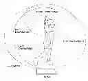 Fig. 01 - Methods for analyzing and providing feedback for improved power generation in a golf swing
