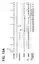 Fig. 15 - Method for managing and eliminating float threads in knitted garments