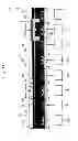 Fig. 12 - Linear conveyor