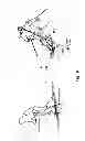 Fig. 07 - Adaptive ski bindings system