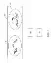 Fig. 02 - Docking assistance system