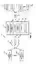 Fig. 02 - VIEWER PATTERN ANALYSIS