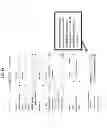 Fig. 71 - SYSTEM AND METHOD FOR MEDIA AND COMMERCE MANAGEMENT