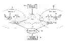 Fig. 01 - Techniques for telephony-based voting