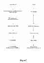 Fig. 02 - SYSTEM AND METHODS FOR VEHICLE LIFECYCLE MANAGEMENT