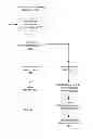 Fig. 07 - AUTOMATIC PAYMENT COMPONENT FOR AN ELECTRONIC INVOICE PAYMENT SYSTEM