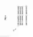 Fig. 05 - Cross-ACL multi-master replication