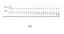 Fig. 04 - Method for Assigning Similarity-Based Codes to Life Form and Other Organisms