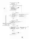 Fig. 04 - Automatic file structure and field data type detection
