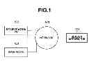 Fig. 02 - Content management system, content management apparatus, content management method, and program