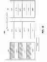 Fig. 22 - Integrating data from symmetric and asymmetric memory